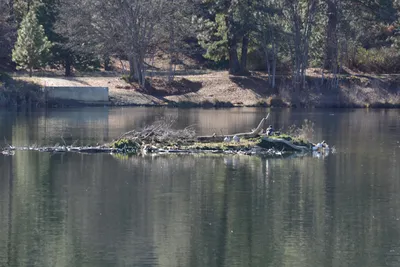 DSC_1140 (Large).JPG